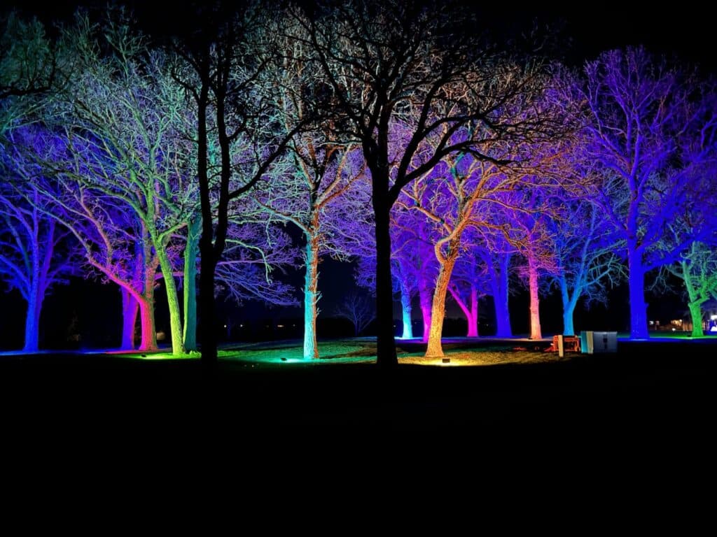 Trees with lights at Nightfalls
